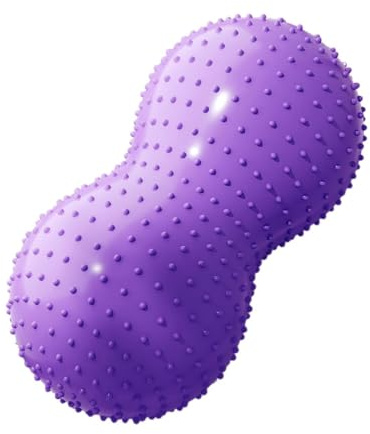 FytStycale Stability Ball Balance Sitting Ball for Home Gym, Light Violet