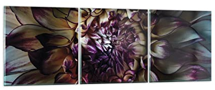 Quadri Moderni su Vetro 150x50 cm Stampe da Parete Botanica Fiori - 5122