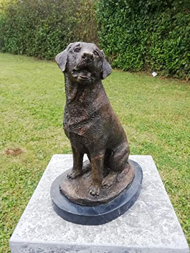 Bronzeskulptur lebensechter Kleiner Labrador - Dekoration für Garten und Haus - 20x25x15 cm