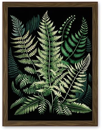 Artery8 Different Fern Fronds Detailed Leaves Illustration Artwork Framed Wall Art Print 18X24 Inch