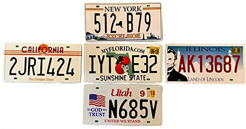 Un lotto di 5 targhe auto americane in replica - DiiliHiiri decorazione per bar - caffè - rifugio da uomo - garage o officina - 15 x 30 cm - (2651-5-21-29-31-32)