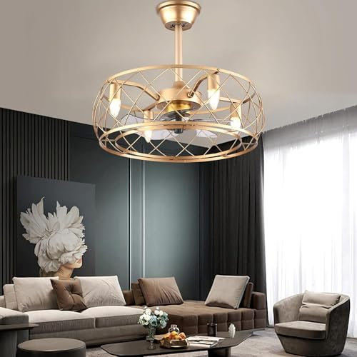Ventilatore da soffitto 52CM Luce Industriale Ventilatore a Gabbia Vintage Lampada da soffitto con Telecomando per Camera da Letto in Stile Rustico, Cucina e Soggiorno Lampadina E2