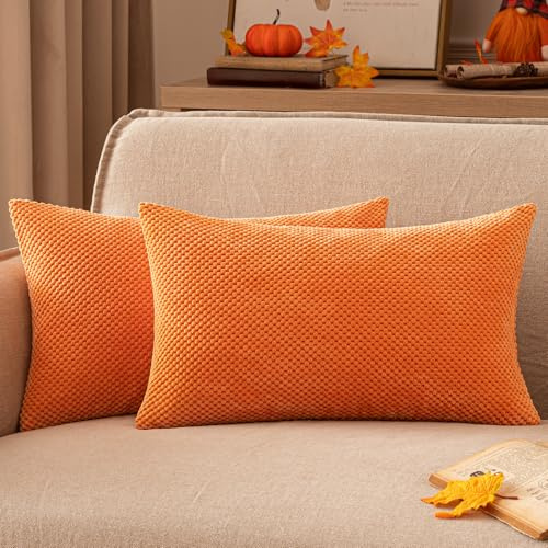 EMEMA Kordsamt Kissenbezug Herbst Dekorative Granulat Sofakissen Dekokissen Kissenbezüge Kissenhülle Couchkissen Überwurf Kissen Bezug Zierkissen für Couch Sofa Wohnzimmer 2er Set 40x60 cm Orange