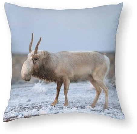 Zhimahou 50 x 50 cm große Kissenbezüge, Antilopen-Spaziergänge in Steppe in der Nähe von Wasserloch im Winter, Stuhlkissen, Sofakissen, Sitzkissenbezüge, Bett-Kissenbezüge