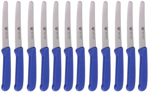 GRÄWE Lot de 12 couteaux de table pour couper - Couteau à pain - Couteau à petit-déjeuner avec lame dentelée unilatérale - Couteau à pain - Couteau à pain - 21 cm - Bleu