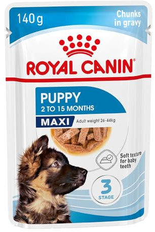 Royal Canin Maxi Puppy 140g (Pack 40 x 140 g) | Unterstützt Immunität und Verdauung mit langem Wachstum und moderater Energie
