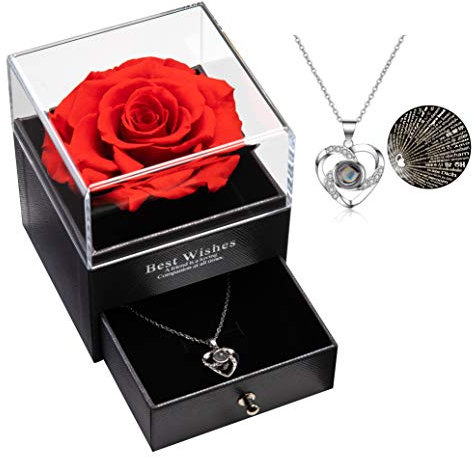 Eaprala Ewige echte Rose mit I Love You Halskette 100 Sprachen Schmuck Geschenkbox Ewige echte Rose für Valentinstag Muttertag Hochzeit Jahrestag Geburtstag Geschenk für sie (Rot)