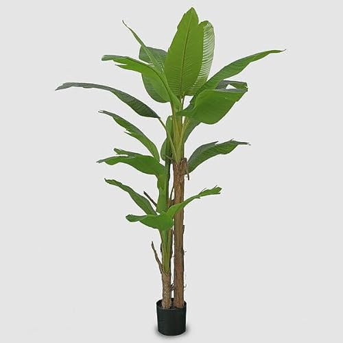 EDG Enzo De Gasperi Banano con Vaso Artificiale H 200 Cm Colore Verde