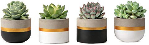 Mkouo 8cm Cement Plant Pots Indoor Succulent Planter Modern Concrete Cactus Flower Pot Small Clay Indoor Herb Window Box Container for Home and Office Decor, Set of 4(Plant Not Included)