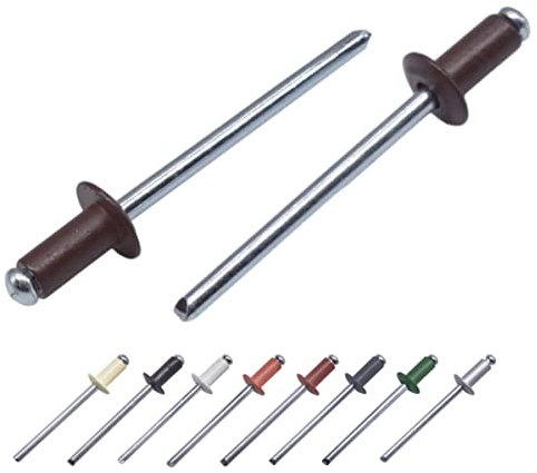 Confezione da 100 rivetti ciechi verniciati 4,0 x 10 mm, testa a cupola, DIN 7337, rivetti in alluminio e mandrino in acciaio, rivetti pop (100, marrone cioccolato RAL 8017)