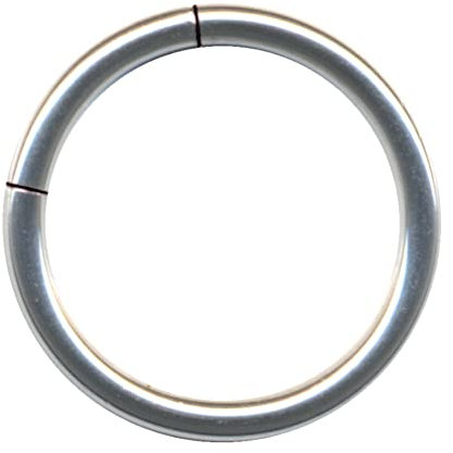 PIERCINGO® Segment-ring TITAN G23 Piercing-Ring EDEL-STAHL CHIRURGENSTAHL 316L Nase Septum Ohr Helix Lippe Augenbraue Intim Brust Tragus Nasen-ring Hoop Titanium ASTM (1.2mm x 10mm, Titan Silbern)