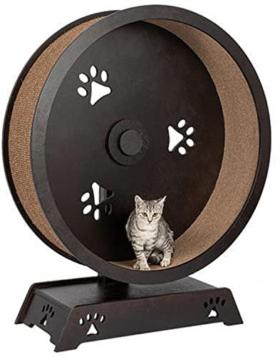 SUN RDPP Laufrad für Katzen, Laufrad für Katzen, Laufband mit Teppichboden, Gewichtsverlustgerät für Katzen, Haustierspielzeug, für Katzen und kleine Hunde,Schwarz