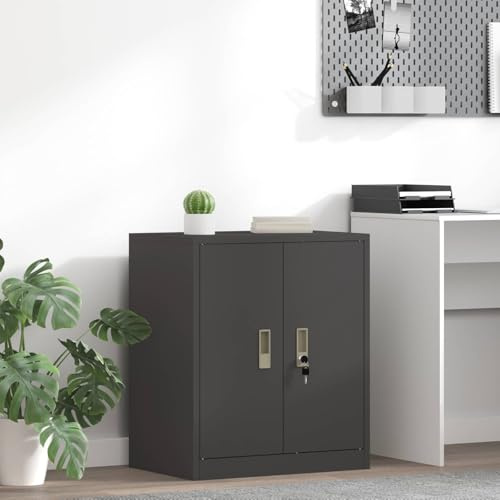 INLIFE Armoire de Rangement Noir 60 x 40 x 70 cm Acier Laminé à Froid