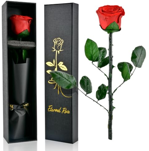 PLECUPE Infinity Rose mit Stiel Geschenke für Frauen, Ewige Rose Geschenke für Frauen, Ewige Rose in Geschenkbox Geschenke für Mama,Konservierte Blume Frauen Geschenk Weihnachten, Rote Rose