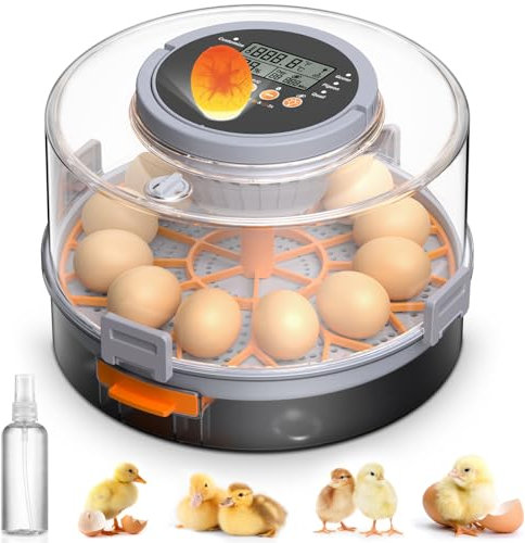 Rsaoty 12 Eier Brutautomat Vollautomatisch, Inkubator Hühner, Brutmaschine Vollautomatisch mit Temperatur und Feuchtigkeitskontrolle, Automatisches Drehen & Stoppen, für Hühnergans, Ente, Taube