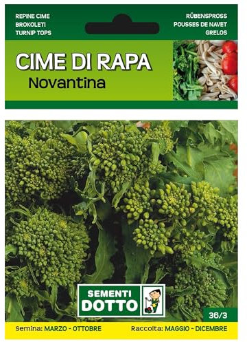Sicignano | Semi Cime di Rapa Novantina - Pianta Ciclo Medio-Tardivo, Infiorescenze Grosse, Busta Extra - 1 Confezione da 20g, Raccolta Estiva-Autunnale
