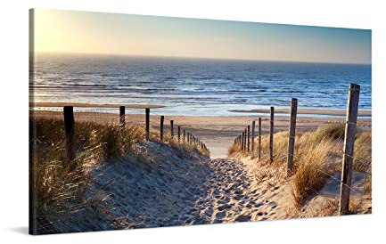PICANOVA – Bild auf Leinwand Weg zum Meer 100x50cm – Leinwandbild – Premium Leinwanddruck – Wandbild Kunstdruck Auf 2cm Holz-Keilrahmen Wohnzimmer Wanddekoration – Strand