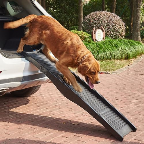 Klappbare Hunderampe, Outdoor-Hundeleiter mit Rutschfester Basis, Tragfähigkeit 75 kg/165 lbs, PP-Material, Gitteroberflächendesign, Landeplattform, tragbare Treppe für große Hundeautos