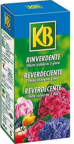 Rinverdente 200 ml KB