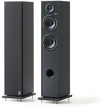 Horus 11F Black Carbon (la paire)