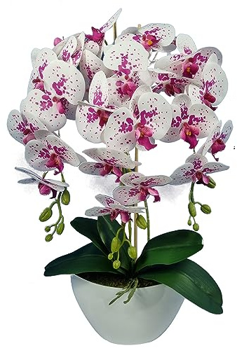 Damich Orchidea artificiale in Vaso decorazione orchidea artificiale 3 Rami fioriti altezza circa 60 cm (Bianco/rosso)