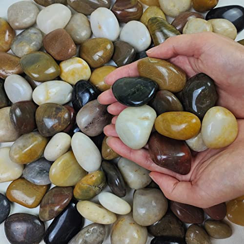 FANTIAN 4 lbs Decoratives Pebbles for Plant Pots, 30-50mm Stones for Garden Potted Plants Landscaping Fish Tank Fountain Vase Fillers and Outdoor Garden River Stones