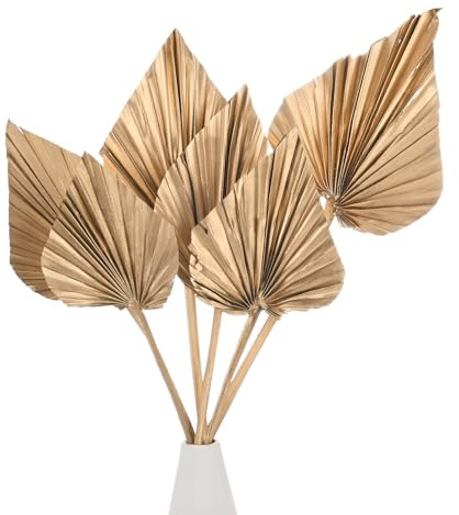 M METERXITY Feuilles de Palmier Séchées en Vrac 13,7X3,9 6-Pack Feuilles de Palmier Réelles Séchées Naturelles Pourdécoration de Bouquets Boho Feuille de Palmier Dorée Séchée avec Tige [Or]