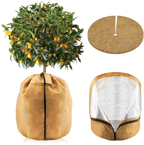 ZYNERY Thermo Topfschutz für Pflanzen, 65 * 70cm Topfpflanzen Schutzbeutel mit Pflanzenschutz Winter Kokosscheibe Nachhaltig Pflanzenschutz Winterschutz für Kübelpflanzen (B)