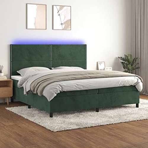 Tonture resårsäng med madrass och LED, mörkgrön 200 x 200 cm sammet, höjdjusterbar sänggavel, fickfjädermadrass, inklusive madrassdyna