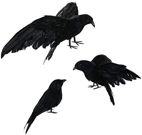 Asodomo Halloween-Krähen-Requisite, realistisch, handgefertigt, 3 Stück, schwarz gefiederte Krähen-Requisiten, Haltung: aufplustern, fliegen und stehen, als Deko für zuhause