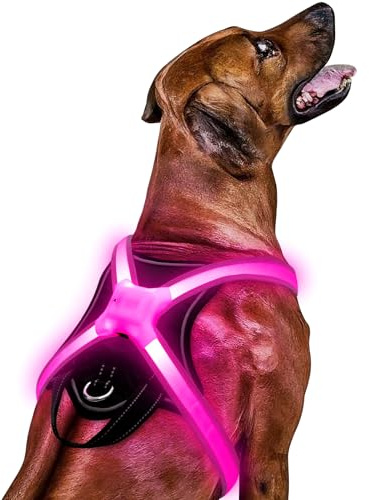 Light Up Dog Harness – Multicolor LED Dog Harness with 7 Lighting Modes | No Pull USB Rechargeable Safety Vest with Handle for Medium Large Dogs | Waterproof & Adjustable Glow-in-The-Dark Illuminated