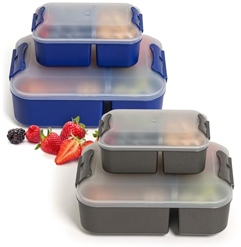 Hausfelder Brotdose mit Fächern 4er Set, Anthrazit/Marineblau, BPA-frei | 4 Lunchboxen klein & groß mit Trennfächern, für Kinder & Erwachsene, BPA-frei