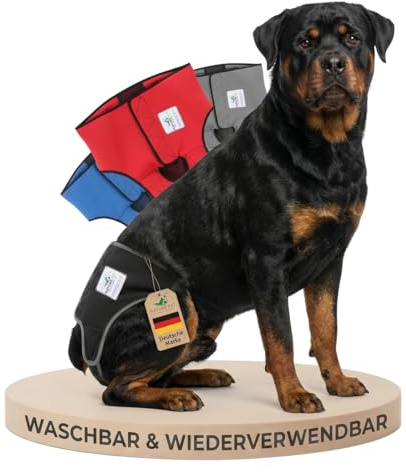 NATURE PET Premium Läufigkeitshose für Hündinnen – Hochwertige & Bequeme Hundewindeln für Hündinnen & Rüden – Waschbare Inkontinenz-Hundewindel ohne Einfädeln der Rute – L-L/Schwarz