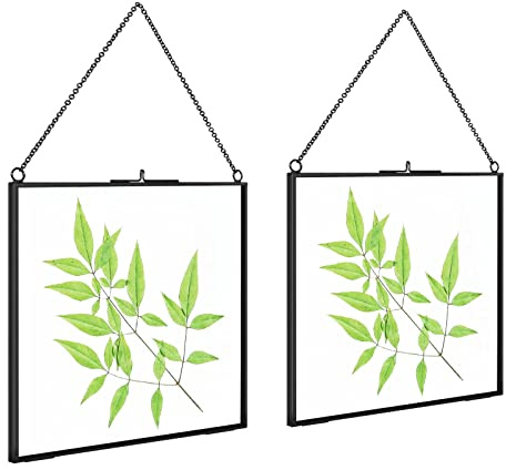 TLBTEK 2 PCS Black 8x8 inch Brass Hanging Photo Frame,Double Glass Frame for Pressed Flowers,Clear DIY Vintage Artwork Display Frame Wall Mounted Photos Frame