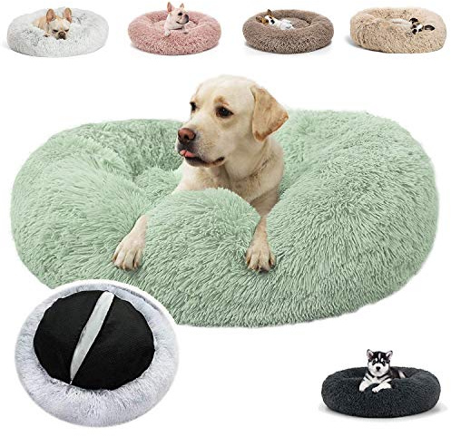 JRUI Hundesofa für Grosse Hunde, Rund Plüsch Hundebett Hundekissen Waschbar Katzenbett Flauschig Hundekörbchen Donut Hundehöhle für Mittelgroße Hunde - Grau 110x110x20cm- Hellgrün Ø 70 cm