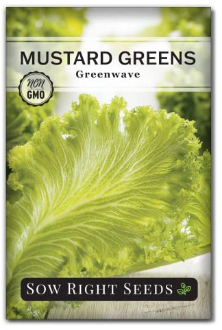 Sow Right Seeds - Greenwave Mustard Greens Seed for Planting - Non-GMO Heirloom Packet with Instructions to Plant and Grow an Outdoor Home Vegetable Garden - Outdoors or Hydroponics Indoors (1)