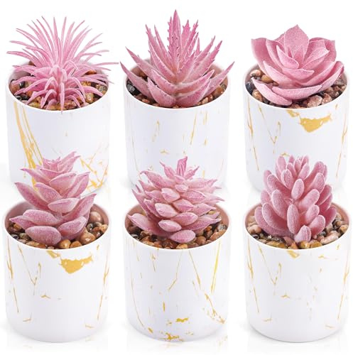 BTSD-home 6 Pack Fake Plants, Pink Succulents in Pots for Bathroom