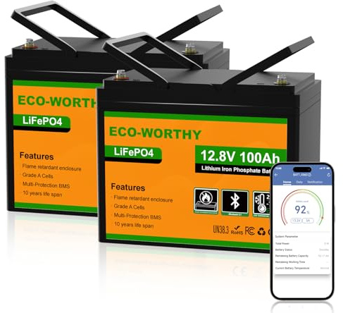 ECO-WORTHY 2-pack LiFePO4 12 V 100 Ah Bluetooth med 100 A BMS lågtemperaturskydd och max. 15 000 cykler, 1 280 Wh litiumbatteri 12 V 100 Ah bilbatteri för husbil, husvagn, båt