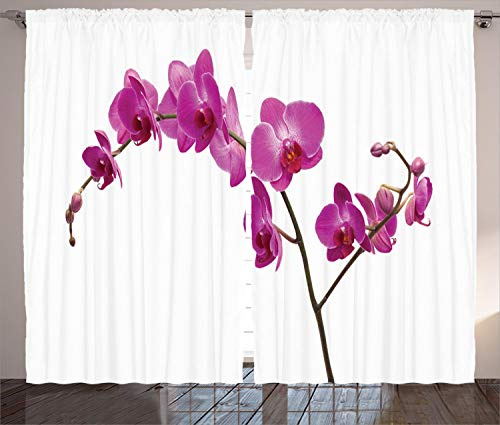 ABAKUHAUS Orchideen Rustikaler Gardine, Wilde Orchideen Petals, Schlafzimmer Kräuselband Vorhang mit Schlaufen und Haken, 280 x 175 cm, Violett