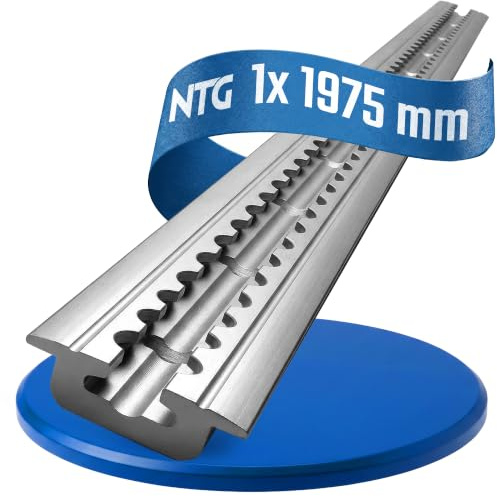 NTG 2 m Airlineschiene 1975mm versenkbar Bodenprofil - Silber eloxiert | TÜV zertifiziert - zum Einlassen mit Bohrungen - Zurrschiene für LKW PKW Anhänger Transporter und Kfz