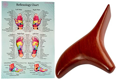 CCcollections Massageverktygssatser med diagram för proffs Fot Handmassage Träpinne Zonterapi (Set I)