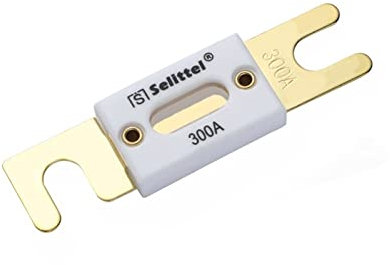 30A 40A 50A 60A 70A 80A100A 125A 150A 175A 200A 225A 250A 275A 300A 350A 400A 450A 500A 80V Schmelzlot Auto Auto Flachsicherung(Color:400a)