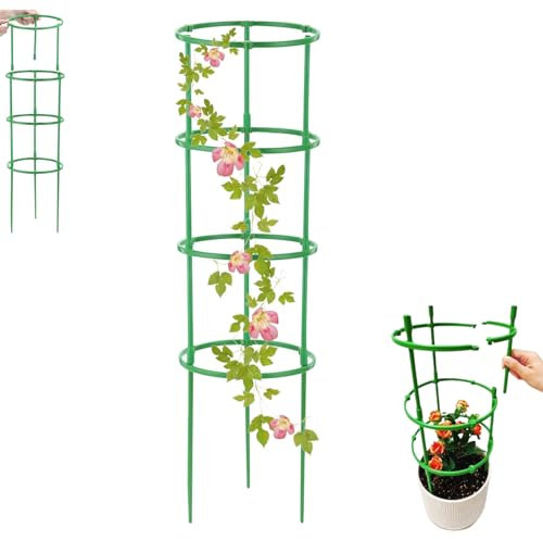 support plante grimpante,tuteur tomate 200 cm,tuteur rond,kit palissage plantes grimpantes,support rosier grimpant exterieur,tuteur hortensia,fraisier grimpant a planter,support de tige de plante