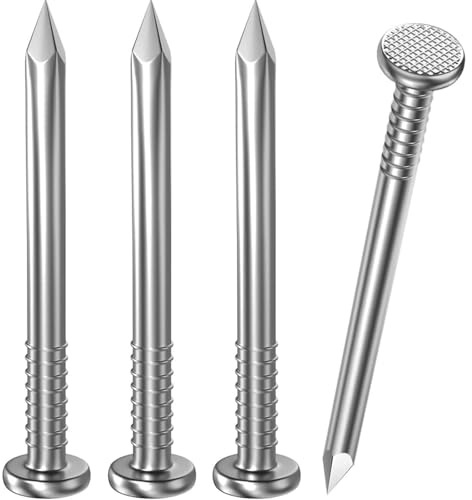 Dayalo Lot de 100 clous, clous en acier 20 mm, clous pour papier bitumineux, en acier inoxydable A2 V2A, clous pour bois et murs en béton