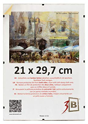 3-B Bilderrahmen - rahmenloser Bildhalter mit Acrylglas - Cliprahmen 21x29,7 cm (A4)