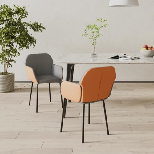 RuiNingRN Dining Room Chairs Set of 2 Light Grey Fabric and Faux Leather with Armrest, Ergonomic Backrest, Metal and Plywood Frame for Kitchen, Living Room, Office, Table, Stable up to 110 kg