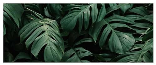Scenolia Brise Vue Feuillage Vert Croissance VEGETALE, H.1.2 x L.3 m, 100% occultant, Made in France Colliers de Fixation offerts