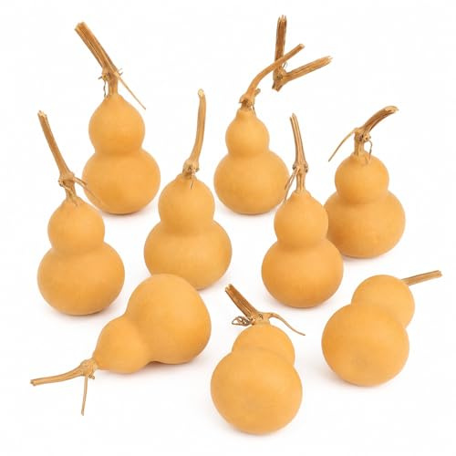 LUOZZY 10Pcs Natural Dried Gourd Shape Ornaments for DIY Craft Home Decor | Eye-Catching Natural Dried Gourd Craft Ornaments For Home And Office Decor Diy Crafts
