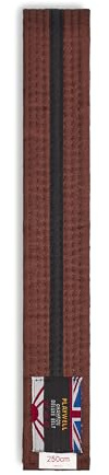 Playwell Cinturón de algodón de color con rayas negras para artes marciales (karate, taekwondo de judo), Cinturón marrón con rayas negras, 280cm