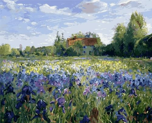Landschaft Malen Nach Zahlen Erwachsene Bastelset, Paint by Numbers Blume Malen Nach Zahlen Anfänger, DIY Ölgemälde Leinwand Set mit 3 Set Pinsels und Farbe, Zimmer Deko 50x70 cm, Geschenk für Frauen